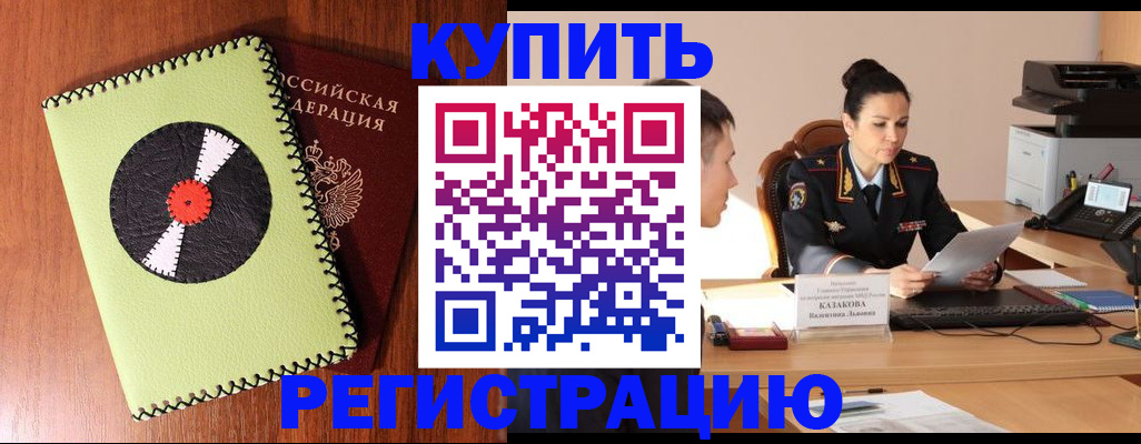прописка 2025 в Светлогорске