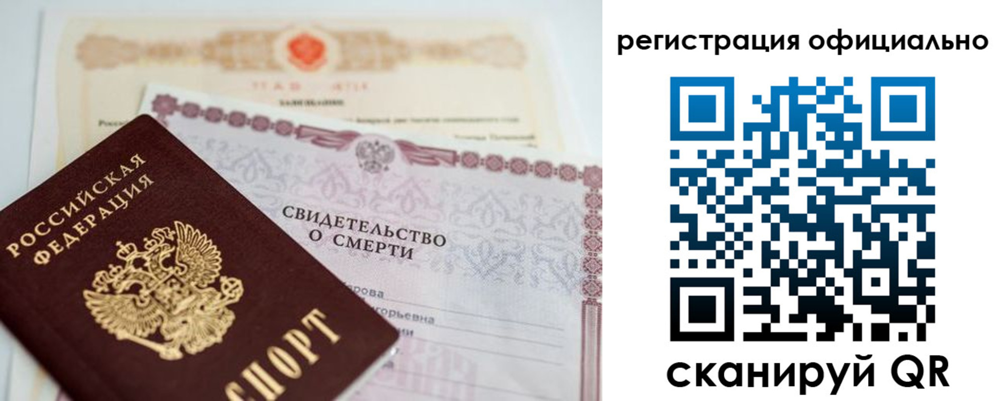 прописка 2025 в Светлогорске