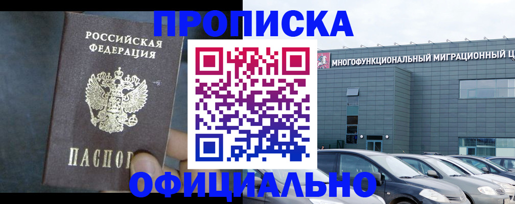 прописка 2025 в Светлогорске